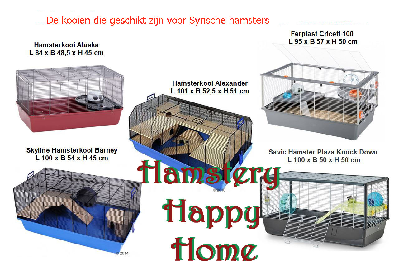 Kruik hobby ontwikkelen Huisvesting | hamsteryhappyhome.nl